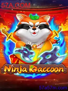 NinjaRaccoon